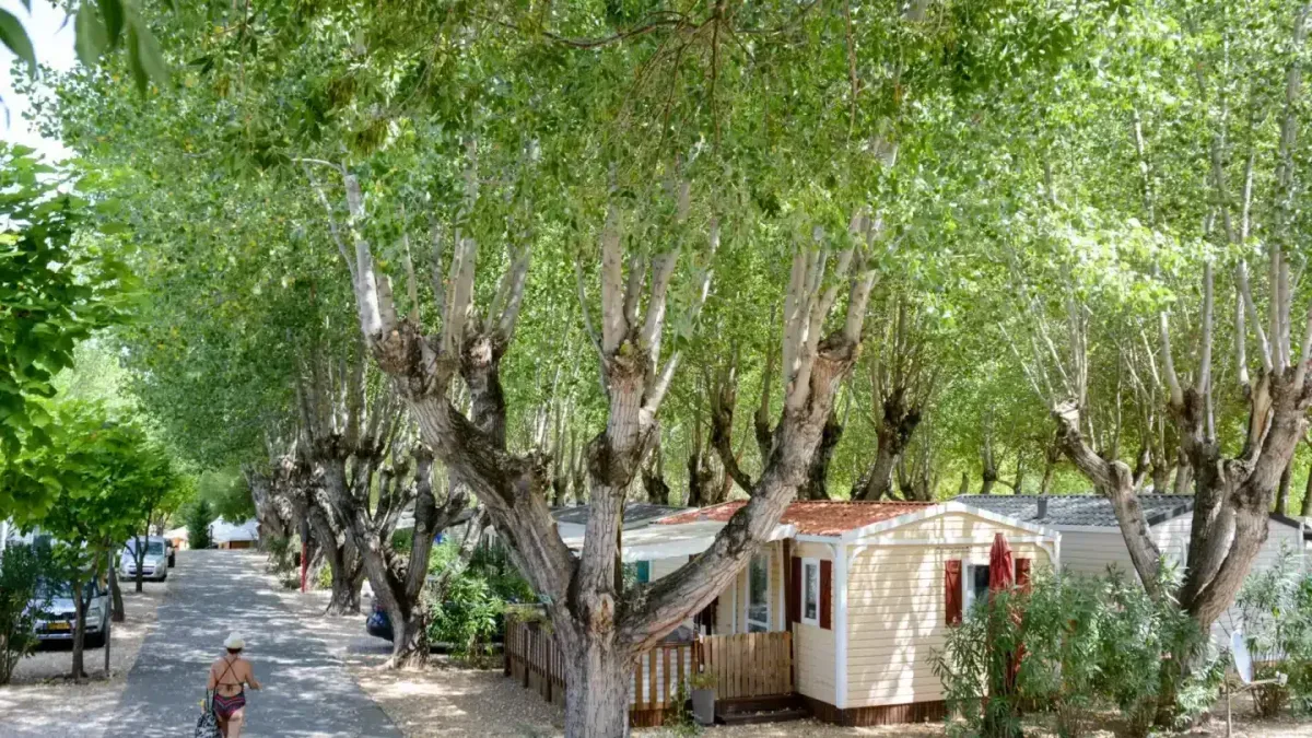 Camping Les Fouguières — Carcès