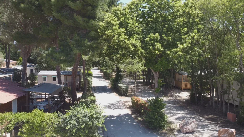 Camping Les Micocouliers in Sorède