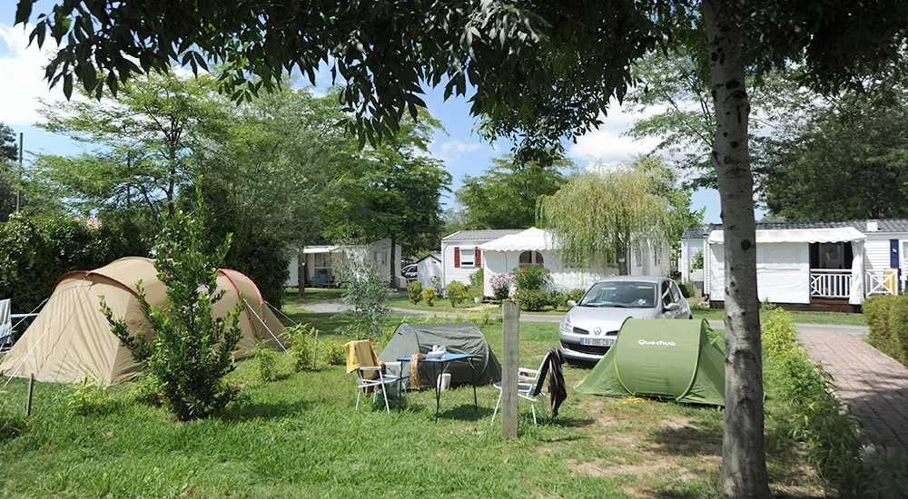 Camping Les Ormeaux in Saint-Palais-sur-Mer