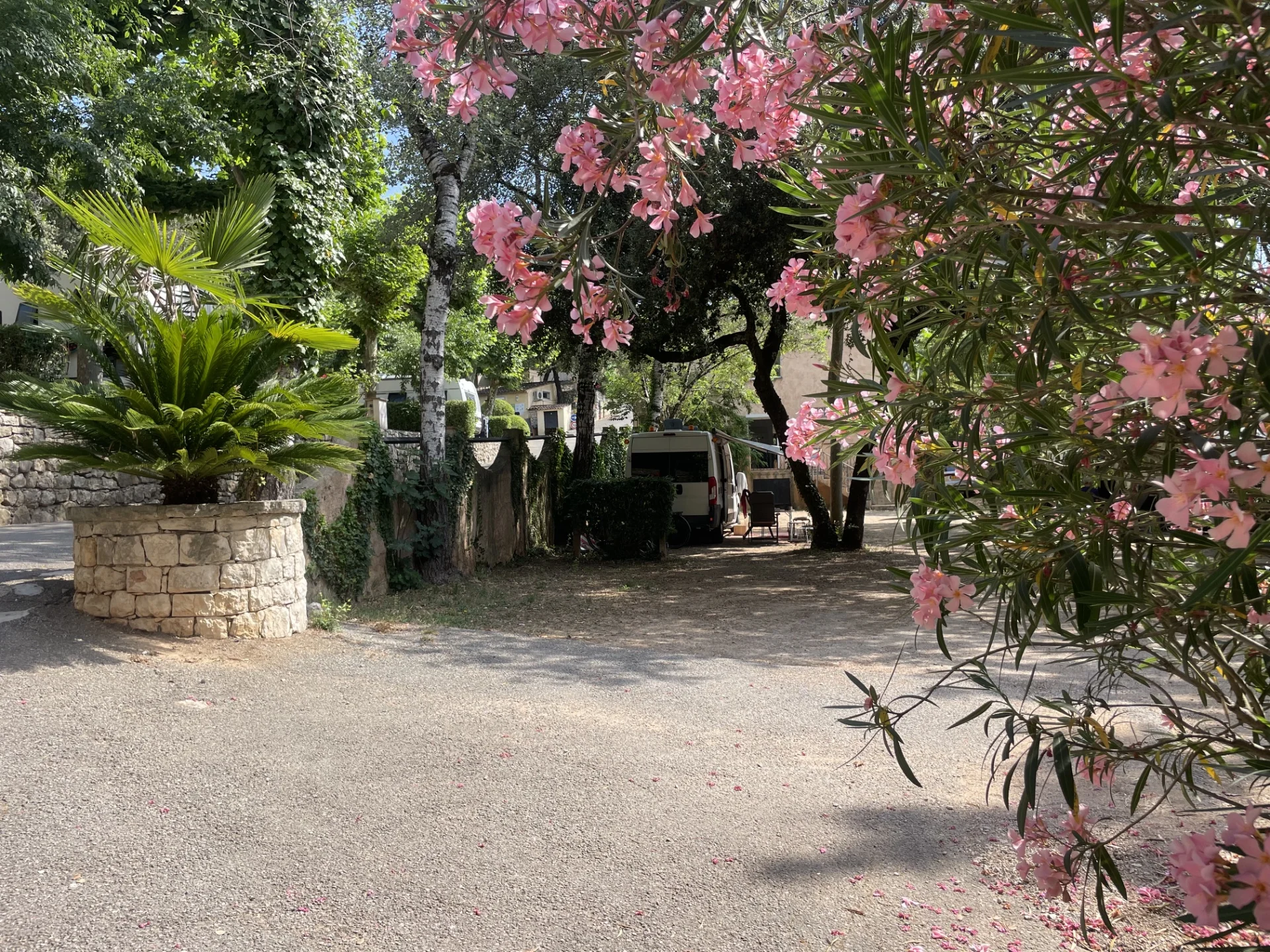 Camping Les Pinèdes à La Colle-sur-Loup — photo 11