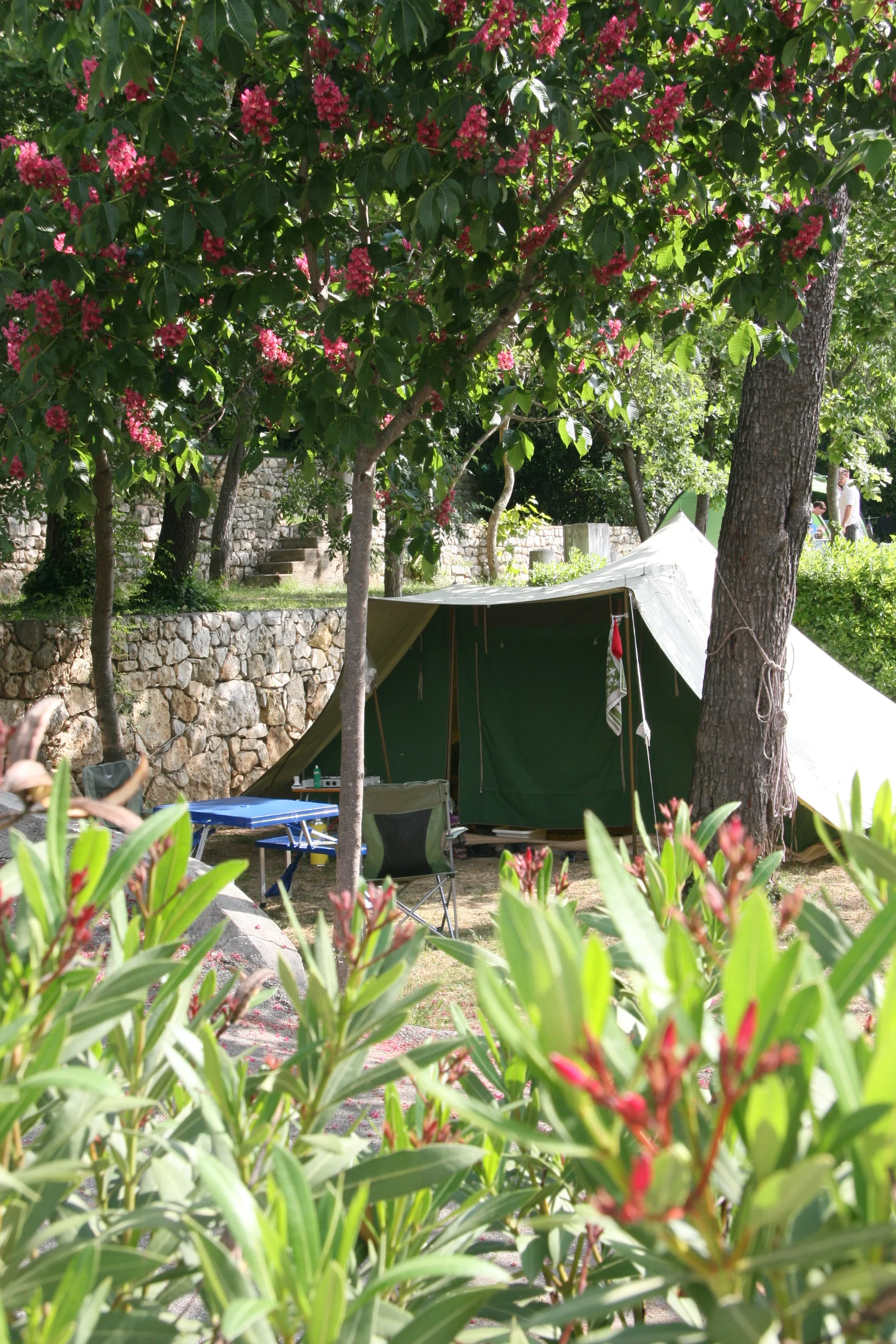 Camping Les Pinèdes à La Colle-sur-Loup — photo 19