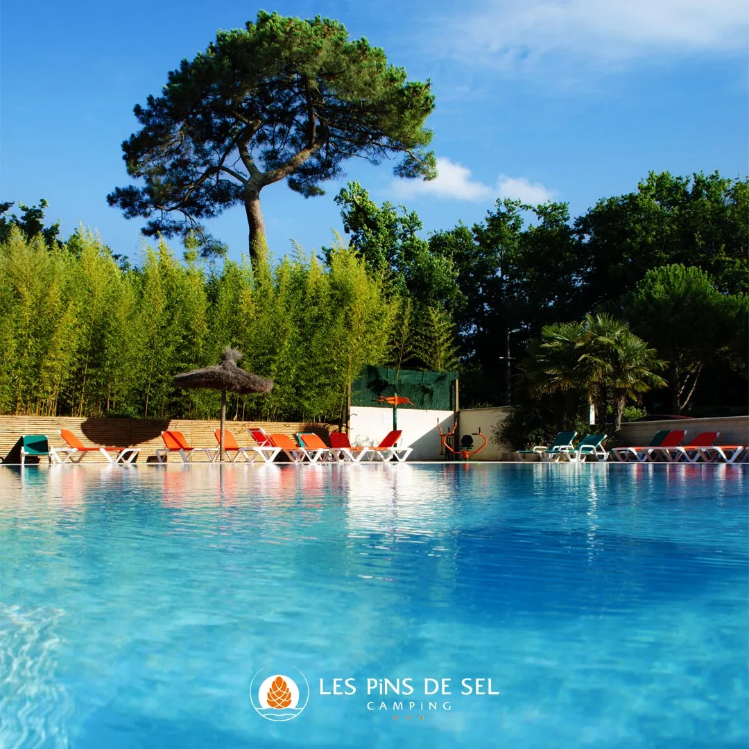 Camping Les Pins De Sel in Saint-Augustin