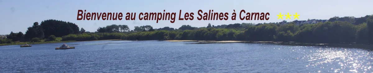 Camping Les Salines in Carnac