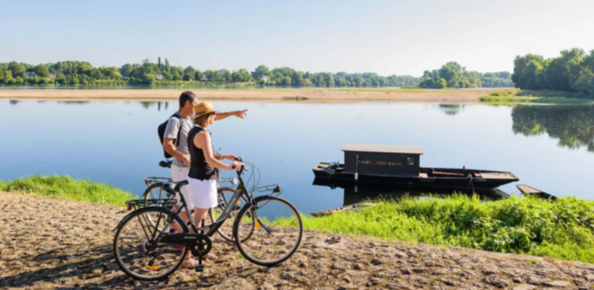 Camping Les Terres De Belle Rive in Candes-Saint-Martin