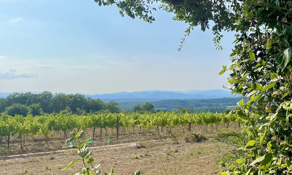 Camping Les Vistes — Saint-Jean-De-Ceyrargues