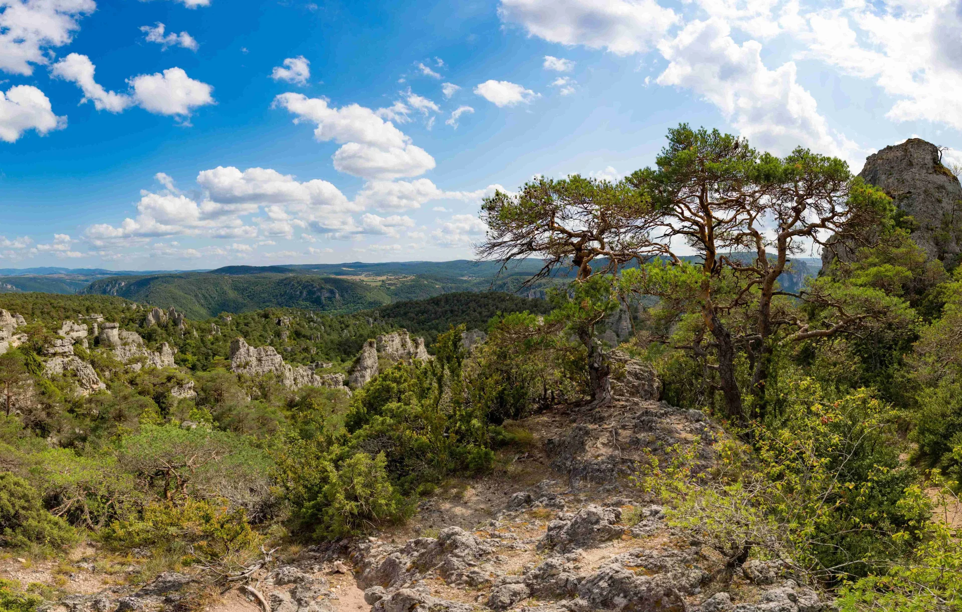 Camping Mas De Messier in Saint-Félix-de-L'Héras — Foto 3