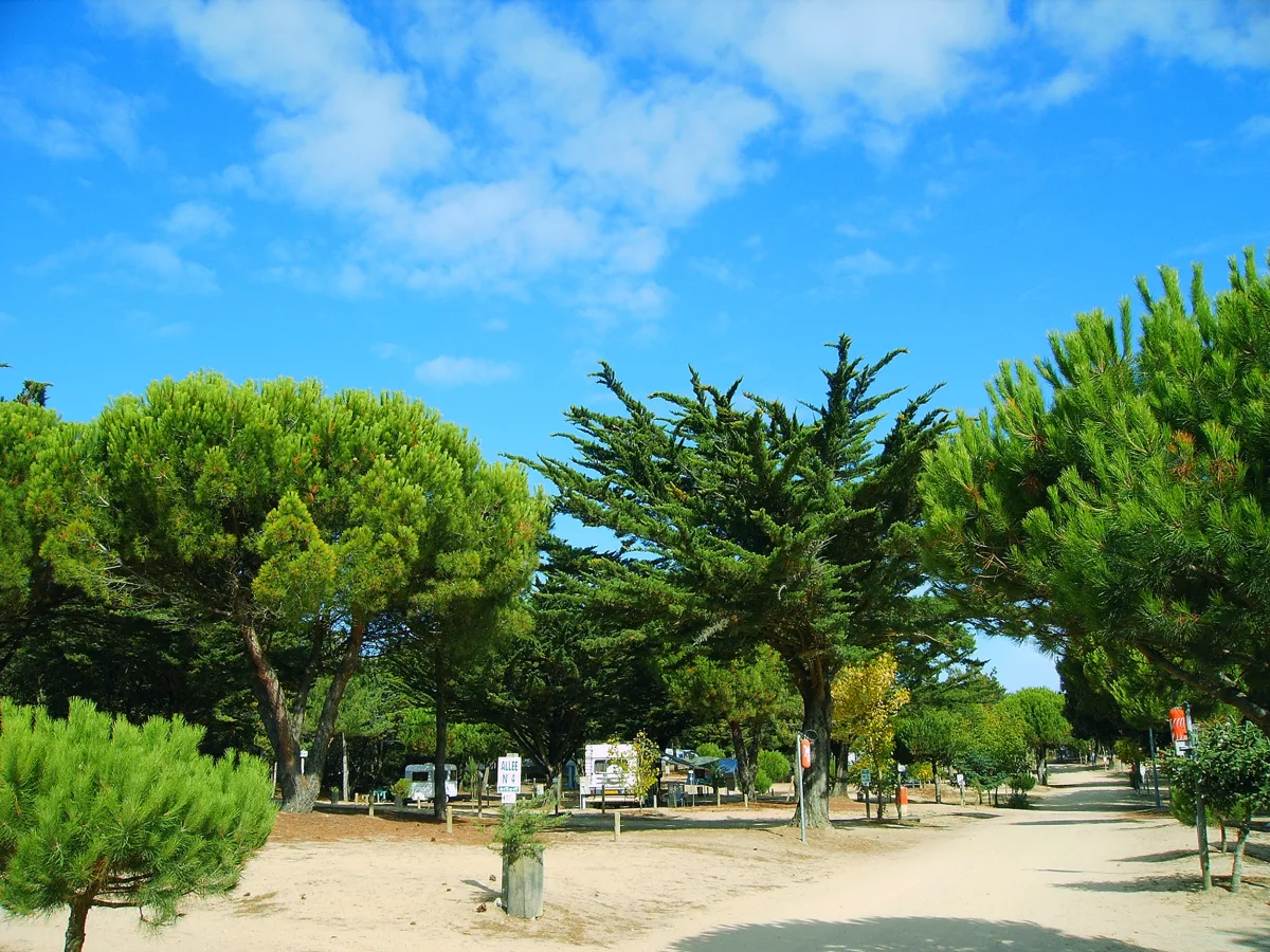 Camping Municipal De L'Orgatte in Notre-Dame-de-Monts