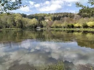 Camping Municipal De La Rabaudie in Viane