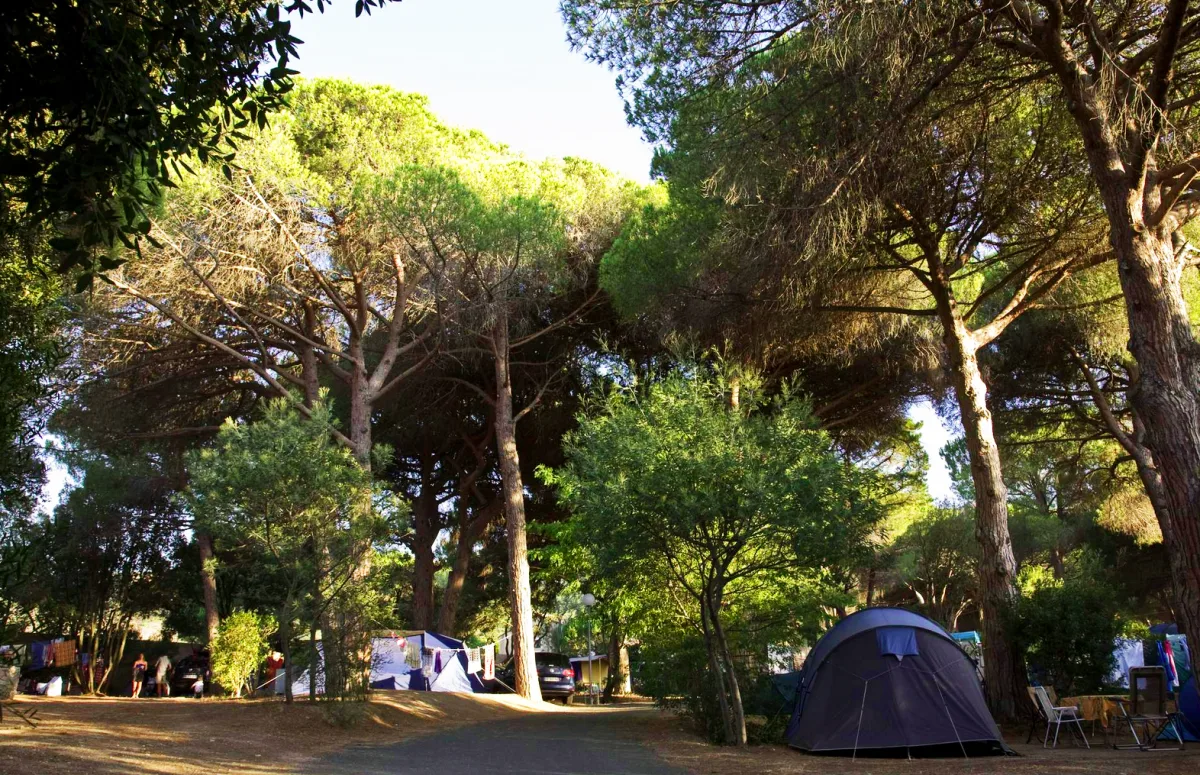 Camping Paduella in Calvi