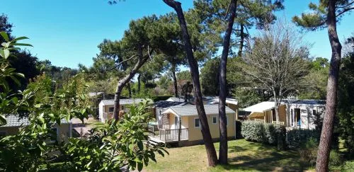 Camping Puits De L'Auture in Saint-Palais-sur-Mer