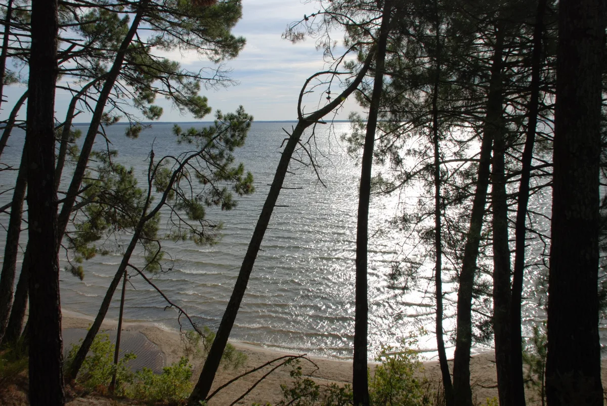 Camping Seasonova Lac De Cazaux in La Teste-de-Buch