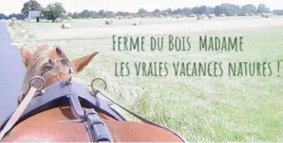 Camping À La Ferme Du Bois Madame in Grézillé