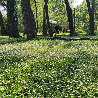 Camping Bellerive in Montfrin