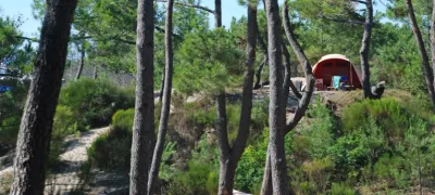 Camping CHM Montalivet in Vendays-Montalivet