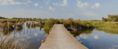 Camping Crin Blanc in Arles