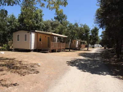 Camping De La Vallée in Saint-Jean-Pla-de-Corts