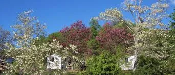 Camping de Marciac