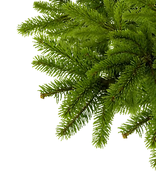 Camping Des Blats in Saint-Jacques-des-Blats