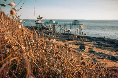 Camping L' Abri-Côtier in Saint-Nazaire-sur-Charente