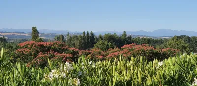 Camping L'Escale Occitane in Alzonne