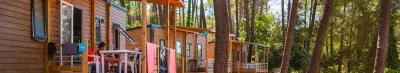 Camping L'Escapade in Lamonzie-Montastruc