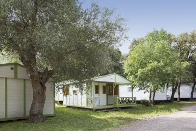 Camping L'Olivette in Le Boulou