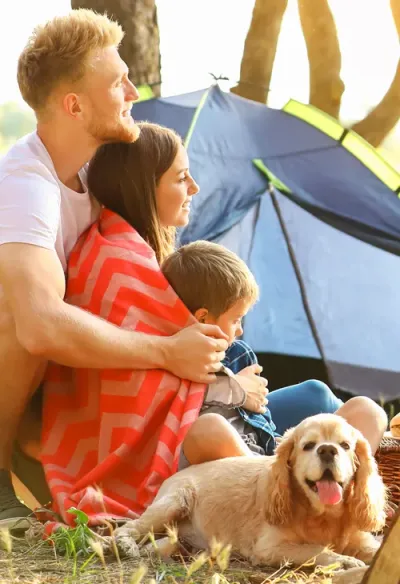 Camping L'Orée Des Bois in Royan