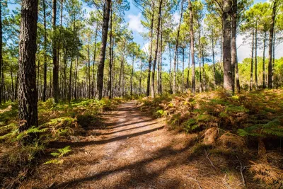 Camping L'Orée Des Landes in Onesse-Laharie