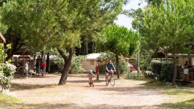 Camping La Côte Sauvage in Saint-Clément-des-Baleines