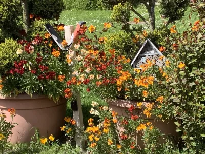Camping La Paille Haute in Boiry-Notre-Dame