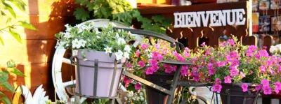 Camping La Renouillère in Sciez sur Léman