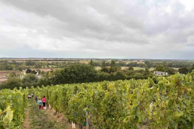 Camping La Vallée Des Vignes in Concourson-sur-Layon