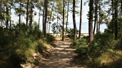 Camping Las Chancas in Sainte-Eulalie-en-Born