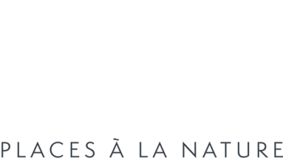 Camping Le Bois D'Amour in Île-Tudy