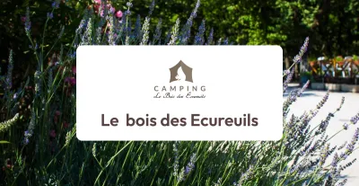 Camping Le Bois Des Écureuils in Domazan