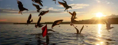 Camping Le Disdillou in Thonon-les-Bains