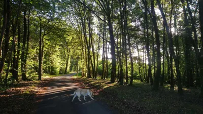 Camping Le Temps De Vivre in Salignac-Eyvigues