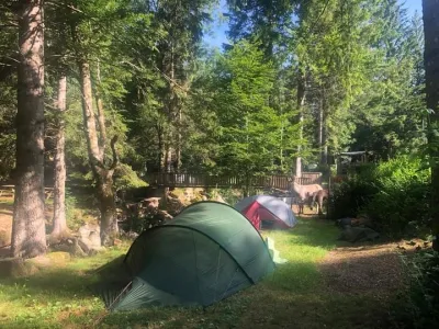 Camping Le Térondel in Saint-Sauveur-Camprieu