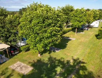 Camping Le Vieux Platane in Narrosse