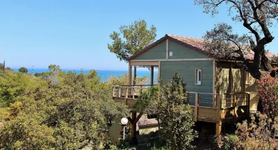 Camping Les Amandiers in Collioure
