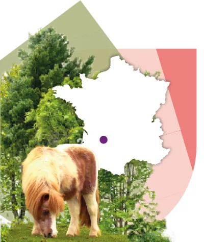 Camping Les Arbousiers in Andernos-les-Bains