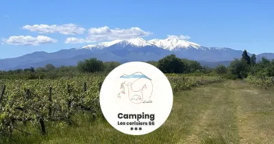 Camping Les Cerisiers in Céret
