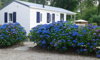 Camping  Les  Myrtilles in Saint-Yvi