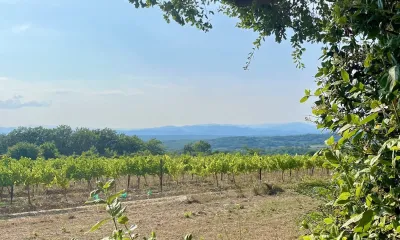 Camping Les Vistes in Saint-Jean-de-Ceyrargues