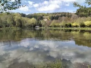 Camping Municipal De La Rabaudie in Viane