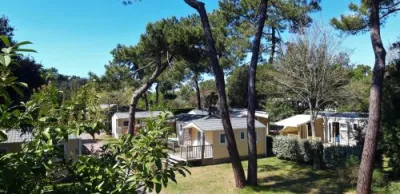 Camping Puits De L'Auture in Saint-Palais-sur-Mer