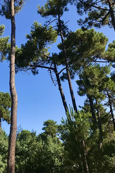 Montacabana Camping in Vendays-Montalivet
