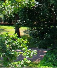 Camping Beau Rivage