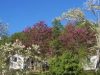 Camping de Marciac