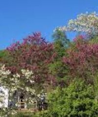 Camping de Marciac